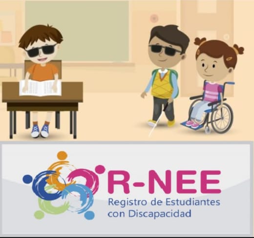 Estudiantes con discapacidad en Evaluaciones Nacionales de Logros de Aprendizaje.